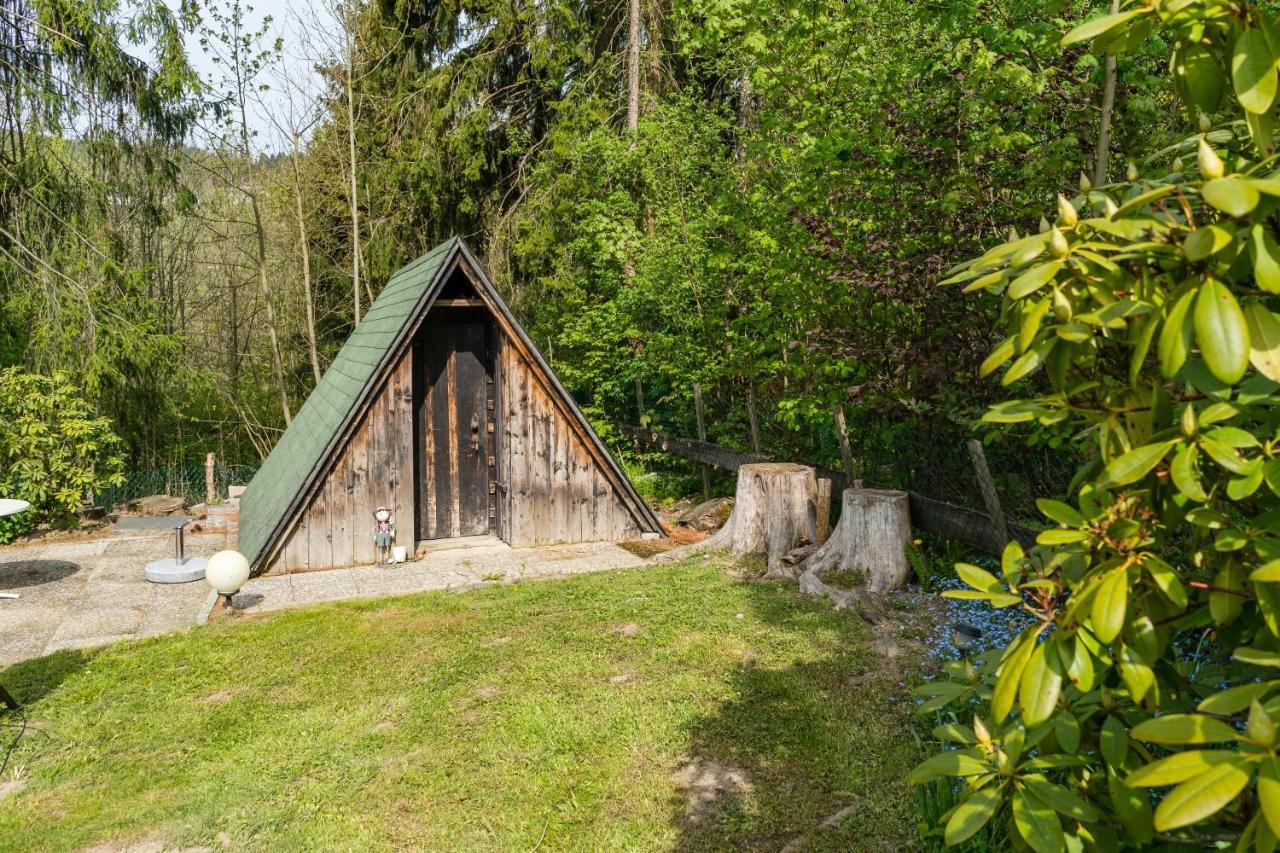 Апартаменты Friends & Family Domizil Willingen Виллинген Экстерьер фото