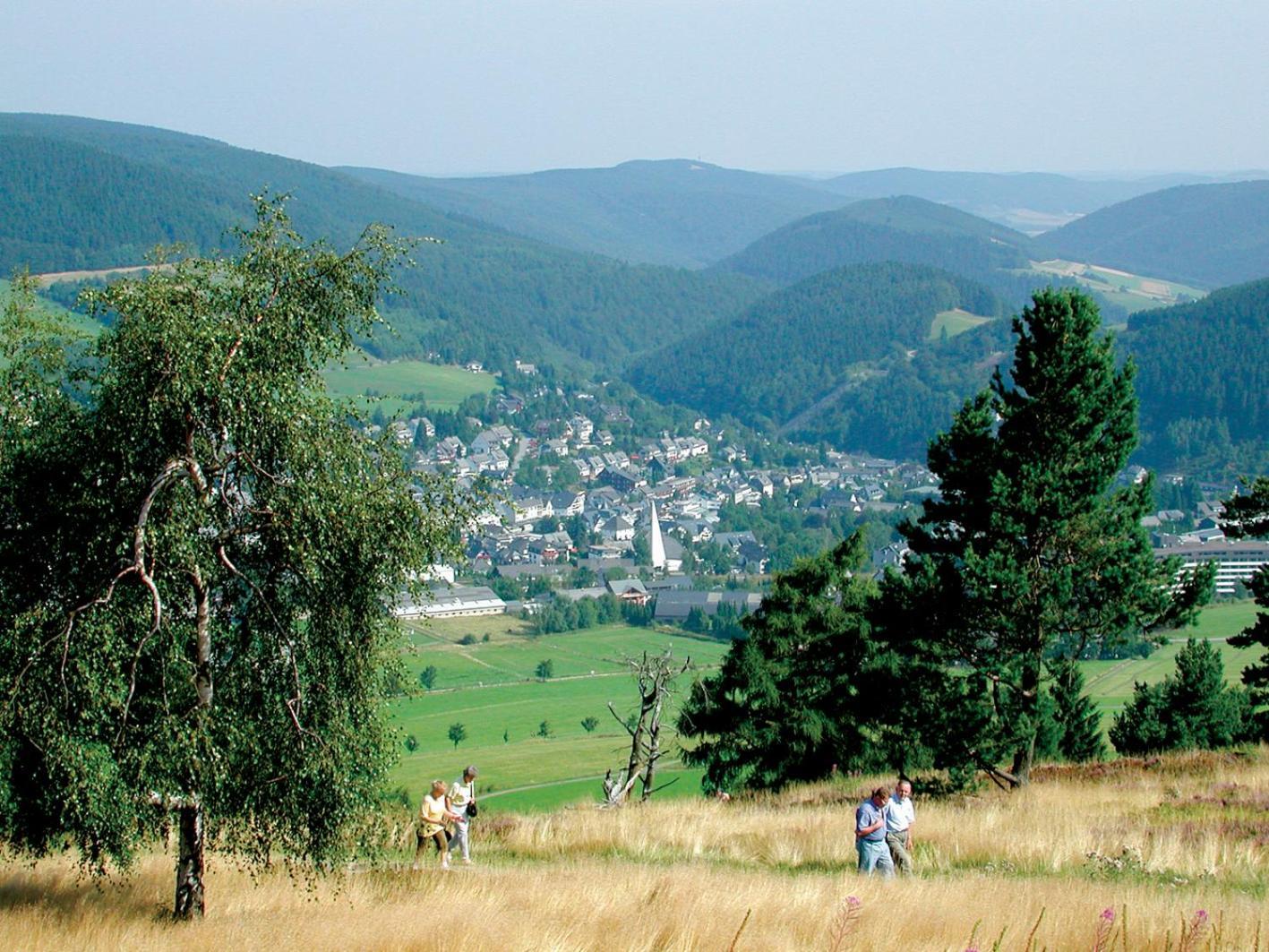 Апартаменты Friends & Family Domizil Willingen Виллинген Экстерьер фото